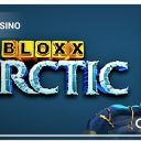 Bloxx Arctic-Swintt