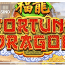 Fortune Dragon - Microgaming