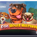 The Dog House Multihold - Pragmatic Play