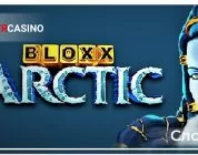 Bloxx Arctic-Swintt